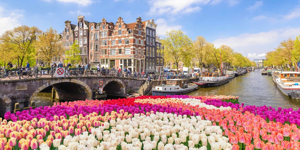 Things to Do in Amsterdam: A Complete Guide to the Dutch Capital