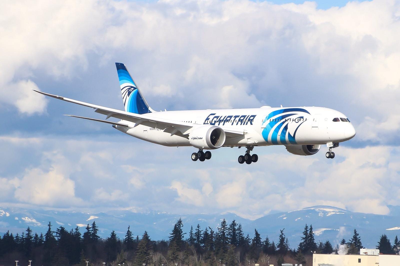 EgyptAir Reports $53 Million Loss Amid Rising Fuel Prices and Regional Tensions